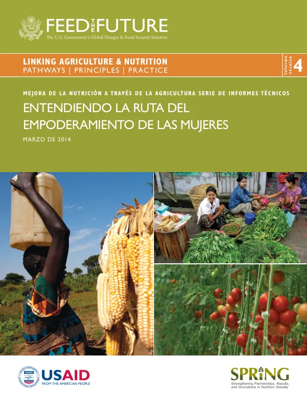 Understanding the Pathway to Women's Empowerment: Technical Report