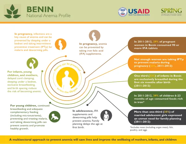 SPRING National Anemia Profile - Benin