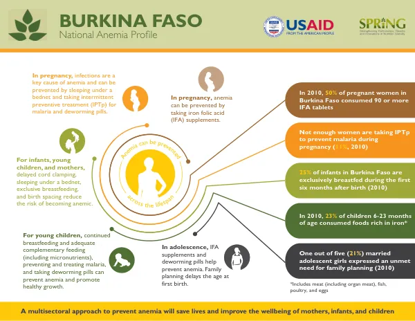 SPRING National Anemia Profile - Burkina Faso