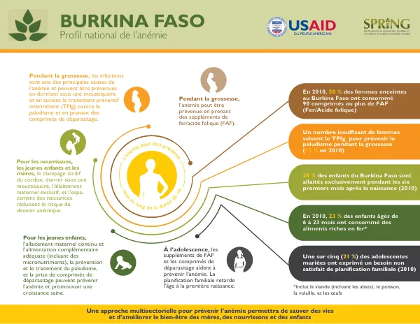 SPRING National Anemia Profile - Burkina Faso