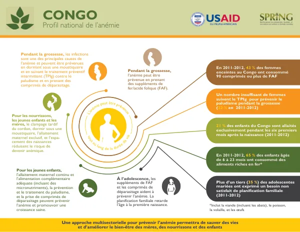SPRING National Anemia Profile - Congo (French)