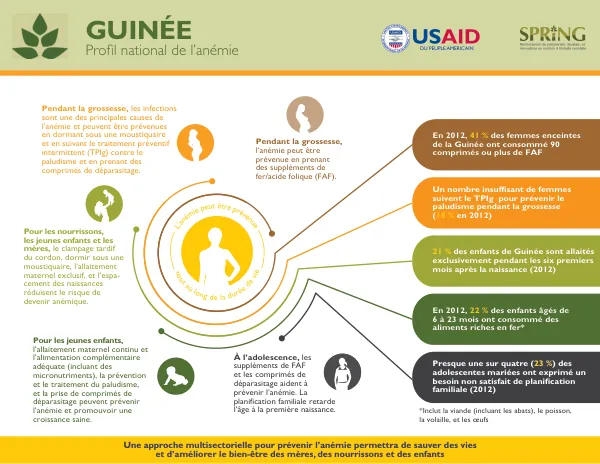 SPRING National Anemia Profile - Guinea - French