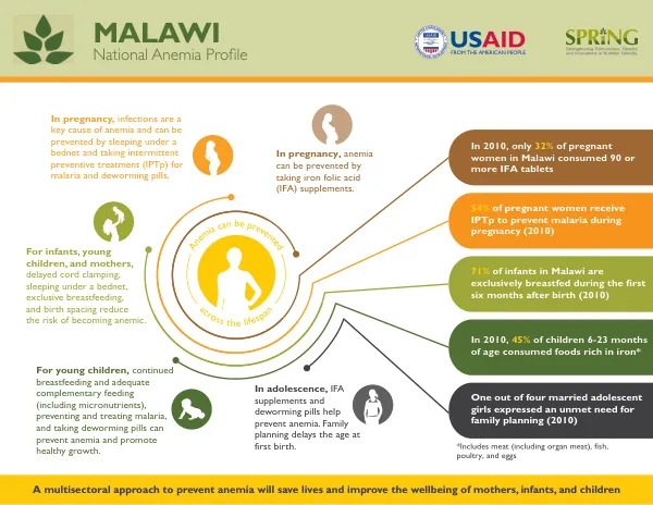 SPRING National Anemia Profile - Malawi