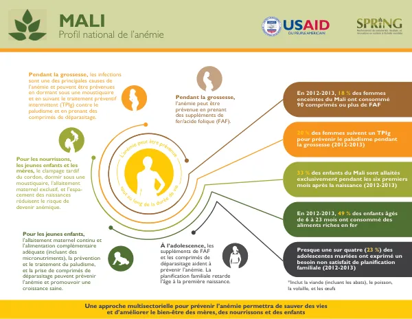 SPRING National Anemia Profile - Mali (French)