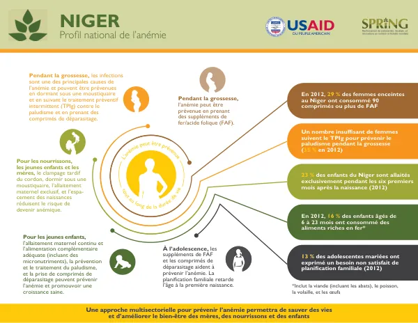 SPRING National Anemia Profile - Niger - French