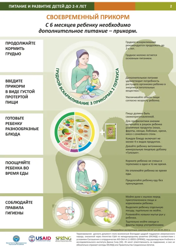 SPRING Poster A2 – Complementary Feeding (Russian)