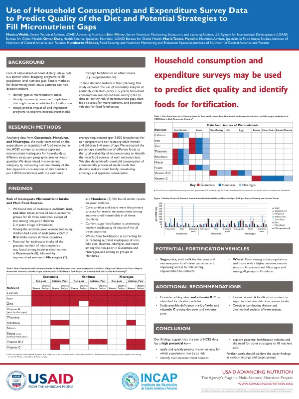 Household Consumption Data: Predicting Diet Quality and Micronutrient Gap Strategies