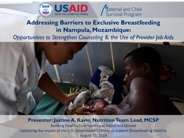 Addressing Barriers to Exclusive Breastfeeding in Nampula, Mozambique: Counseling and Job Aid Opportunities