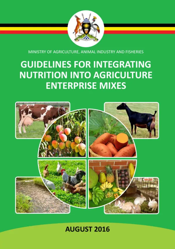 Guidelines for Integrating Nutrition into Agriculture Enterprises Mixes