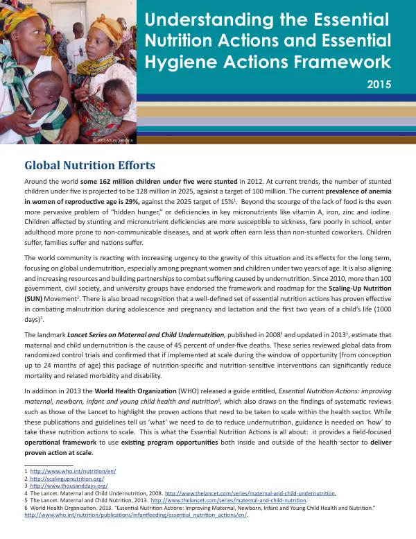 Understanding the Essential Nutrition and Hygiene Actions Framework