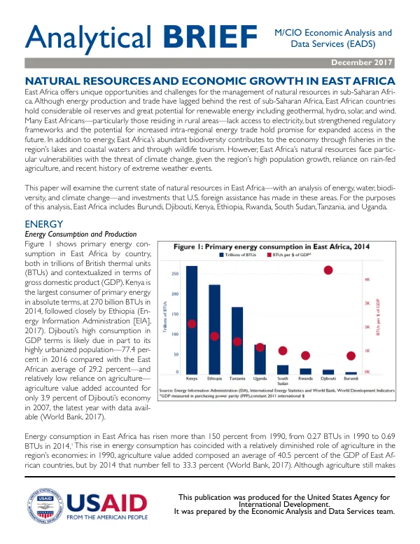 EADS Analytical Brief 12