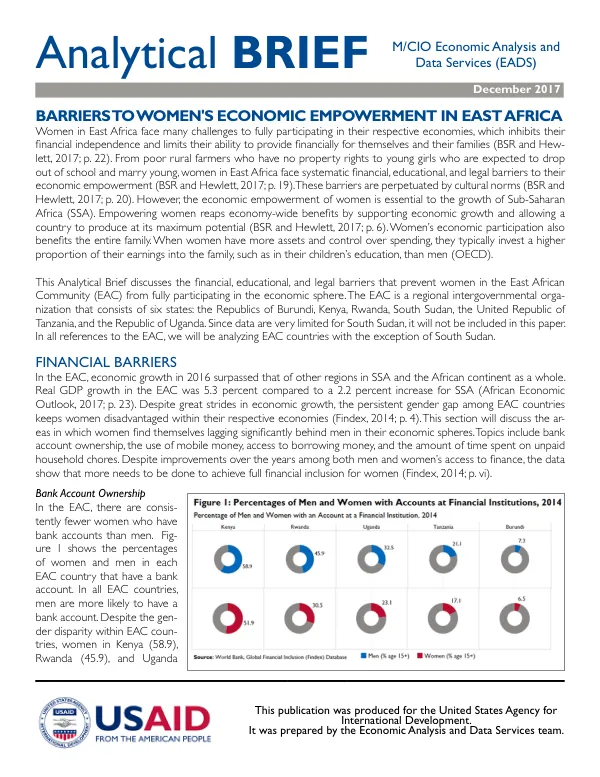 EADS Analytical Brief 13