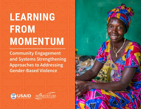 GBV Learning from MOMENTUM: Synthesis Report