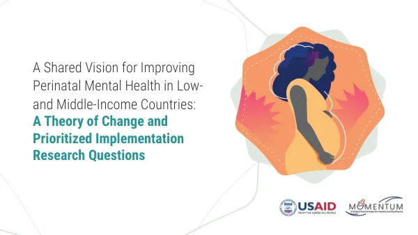 Perinatal Mental Health: Theory of Change and Research Questions