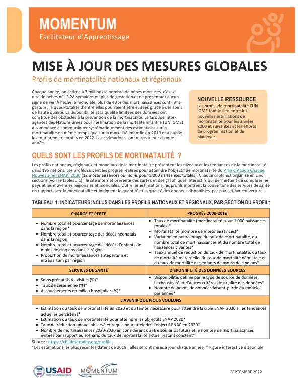 MOMENTUM Global Measurement Fact Sheet: National and Regional Stillbirth Profiles