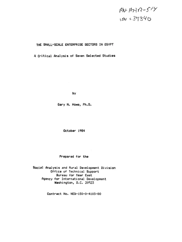 Small-scale enterprise sectors in Egypt : a critical analysis of seven selected studies