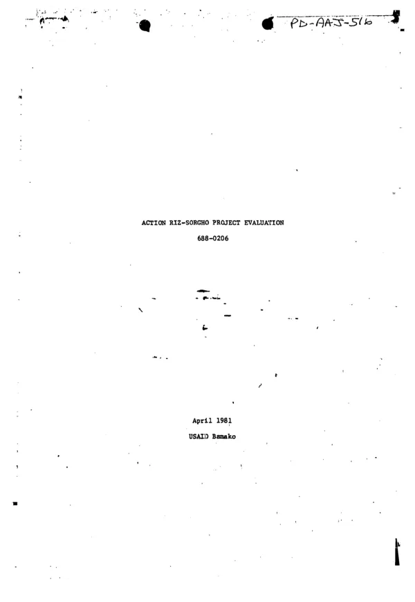 Action Riz-Sorgho project evaluation