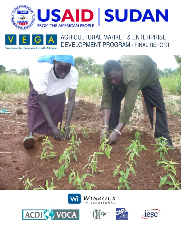 VEGA Sudan agricultural market and enterprise development program -- final report