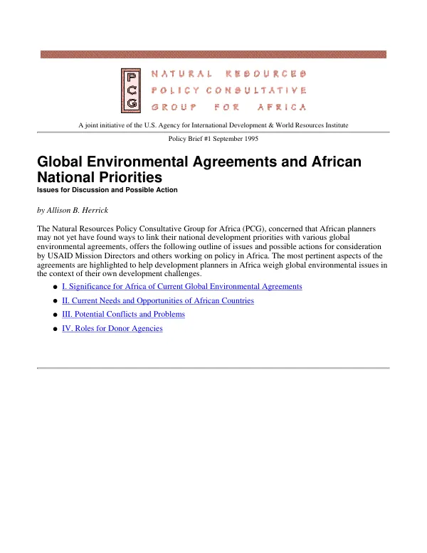 Global environmental agreements and African national priorities
