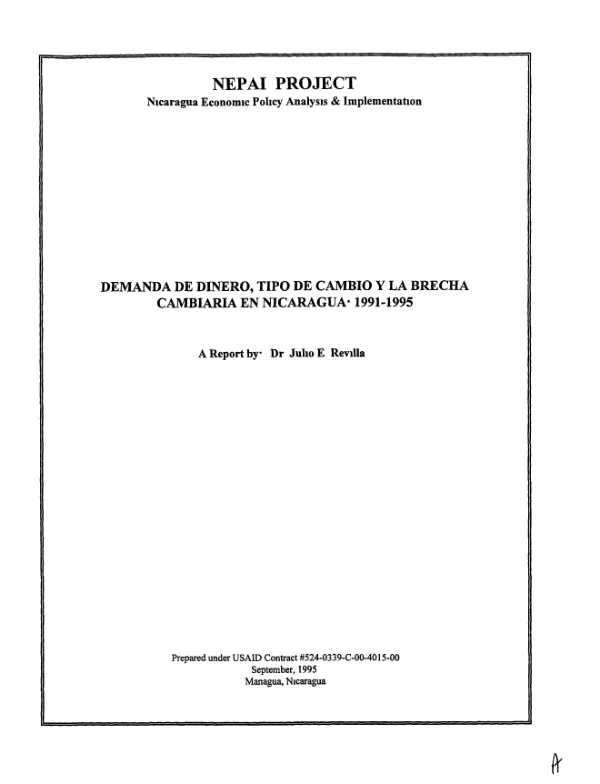 Demanda de dinero, tipo de cambio y la brecha cambiaria en Nicaragua : 1991-1995