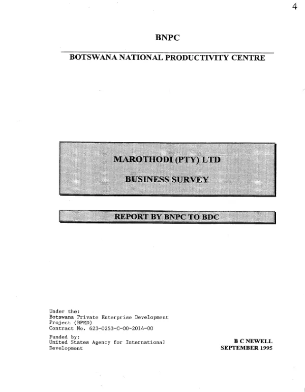 Marothodi (Pty) Ltd. : business survey