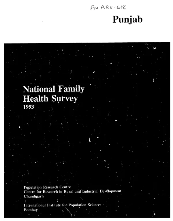 National family health survey (MCH [maternal child health] and family planning) : Punjab, 1993