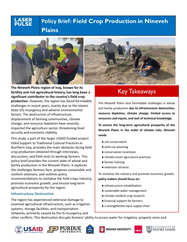 Policy Brief: Field Crop Production in Nineveh