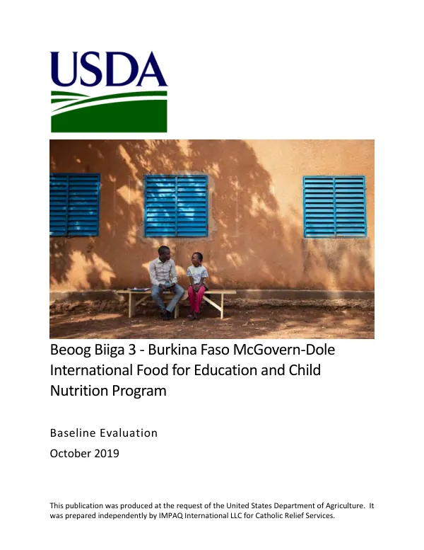 [USDA] Beoog biiga 3 baseline performance evaluation report [FY 2018 Burkina Faso]