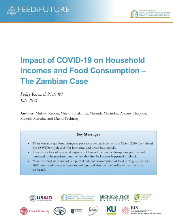 Impact of COVID-19 on Household Incomes and Food Consumption – The Zambian Case