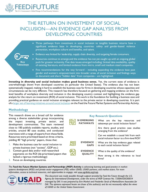 The Return on Investment of Social Inclusion—An Evidence Gap Analysis from Developing Countries