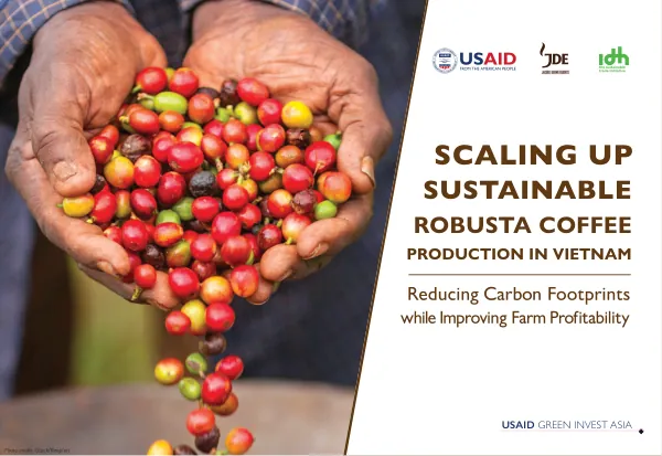 Scaling up Sustainable Robusta Coffee Production in Vietnam