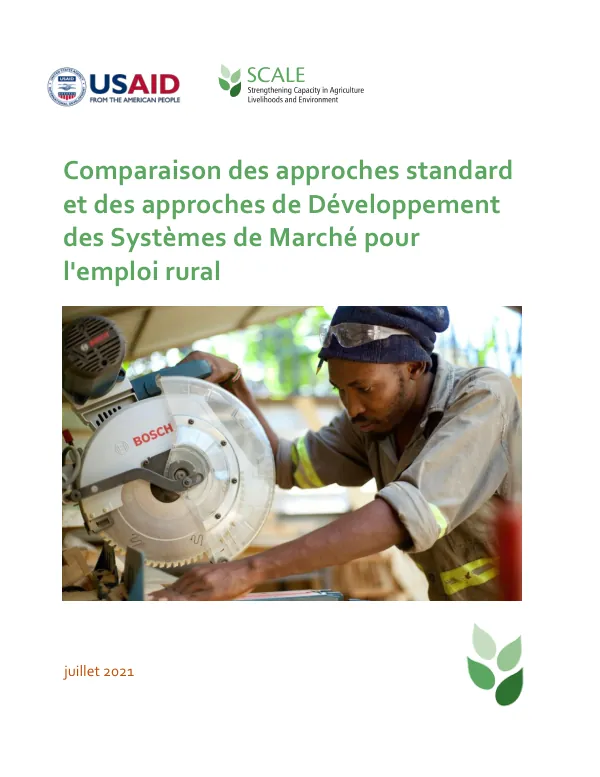 Comparaison des approches standard et des approches de Développement des Systèmes de Marché pour l'emploi rural