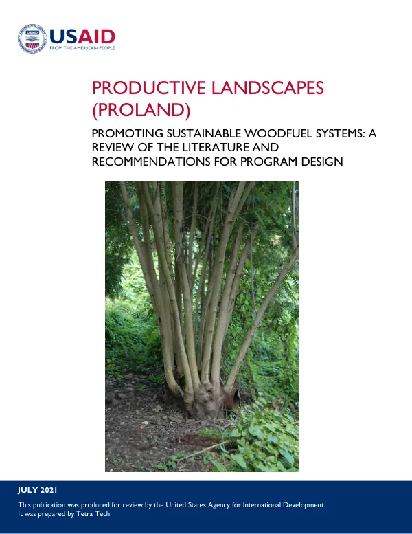 Promoting Sustainable Woodfuel Systems: A Review of the Literature and Recommendations for Program Design