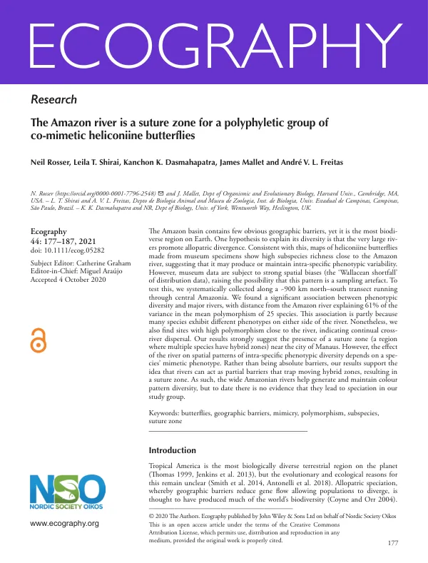 The Amazon river is a suture zone for a polyphyletic group of co-mimetic heliconiine butterflies