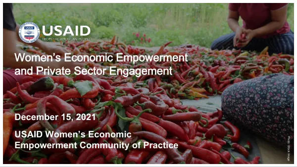 Women’s Economic Empowerment and Private Sector Engagement