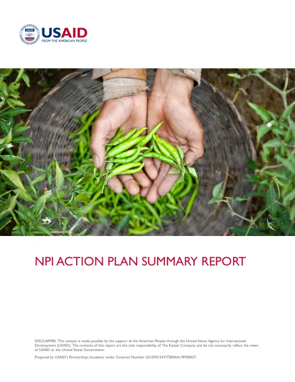 NPI Action Plan Summary Report