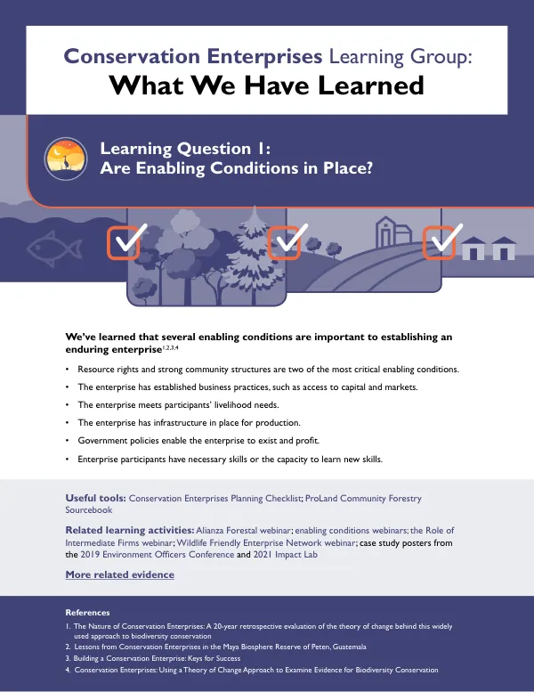 Conservation Enterprises Learning Group: What We Have Learned