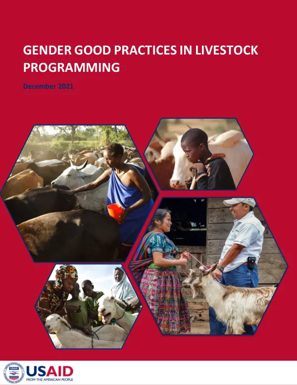 USAID Gender and Livestock Brief
