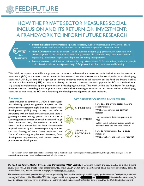 HOW THE PRIVATE SECTOR MEASURES SOCIAL INCLUSION AND ITS RETURN ON INVESTMENT: A FRAMEWORK TO INFORM FUTURE RESEARCH