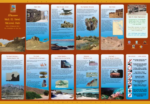 Discover Wadi El Gemal National Park Sites of Interest from the Mountains to the Sea