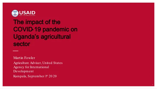 The impact of the COVID-19 pandemic on Uganda’s agricultural sector