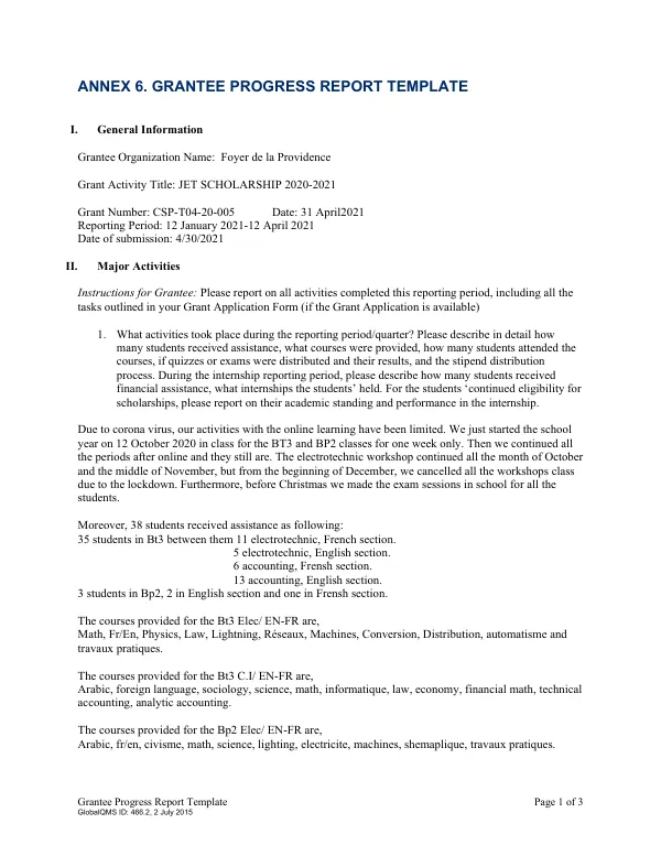 Grantee Progress Report Template