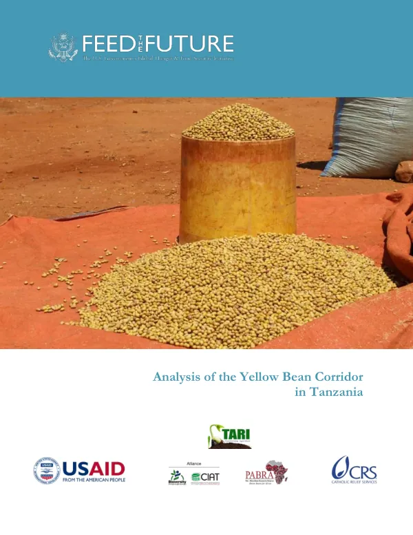 Analysis of the Yellow Bean Corridor in Tanzania