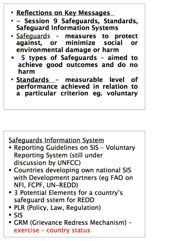 Social and Environmental Soundness in REDD+ - Reflections on key messages - Day 3