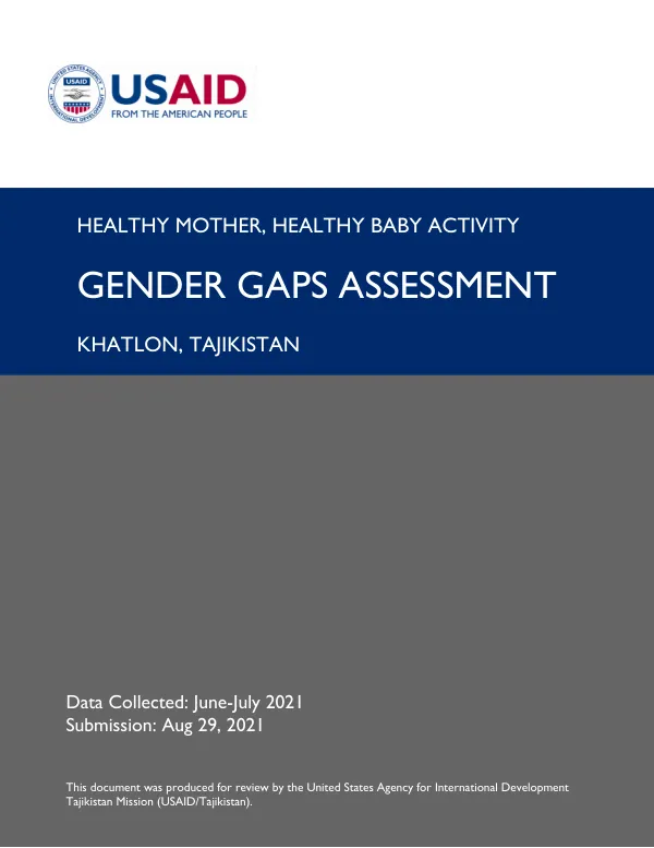 Healthy Mother, Healthy Baby Gender Gaps Assessment 2021