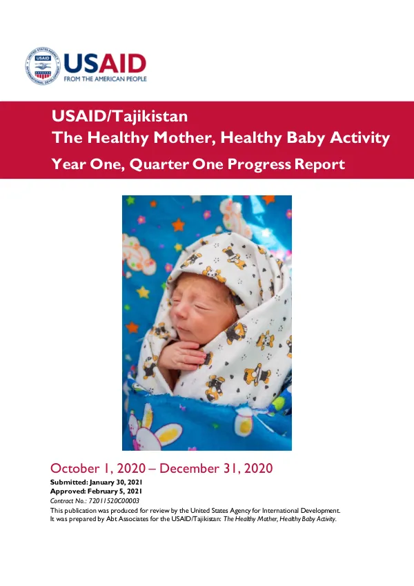 Year One, Quarter One Progress Report: The Healthy Mother, Healthy Baby Activity