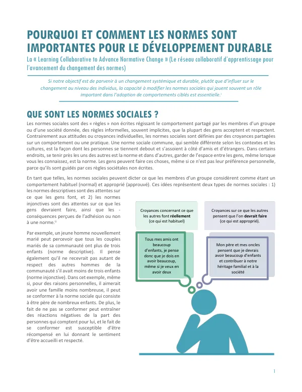 Pourquoi et comment les normes sont importantes pour le développement durable
