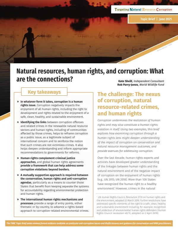 Natural resources, human rights, and corruption: What are the connections?