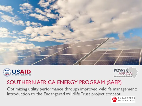 Southern Africa Energy Program (SAEP): Optimizing utility performance through improved wildlife management
