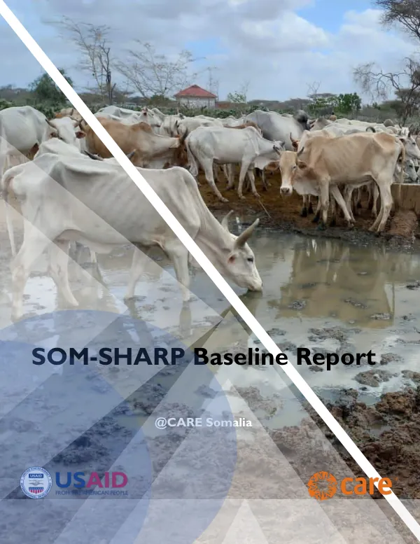 SOM-SHARP Baseline Report
